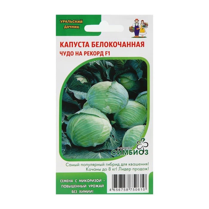Семена Капуста белокочанная «Чудо на рекорд», F1, 0.3 г, позднеспелая, «Уральский дачник»