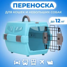 Переноска для животных «Неон», 48×32×29.5 см, вес до 12 кг, пластик, голубая