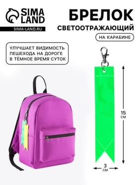 Светоотражающий элемент, брелок «Флажок», 15×3 см, МИКС