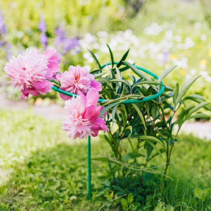 Кустодержатель для цветов, d=40 см, h=80 см, ножка d=1 см, металл, зелёный