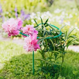 Кустодержатель для цветов, d=40 см, h=80 см, ножка d=1 см, металл, зелёный