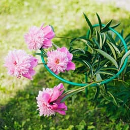 Кустодержатель для цветов, d=40 см, h=80 см, ножка d=1 см, металл, зелёный