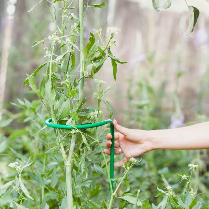 Кустодержатель для цветов, d=20 (±5) см, h=120 см, ножка d=1 см, металл, зелёный