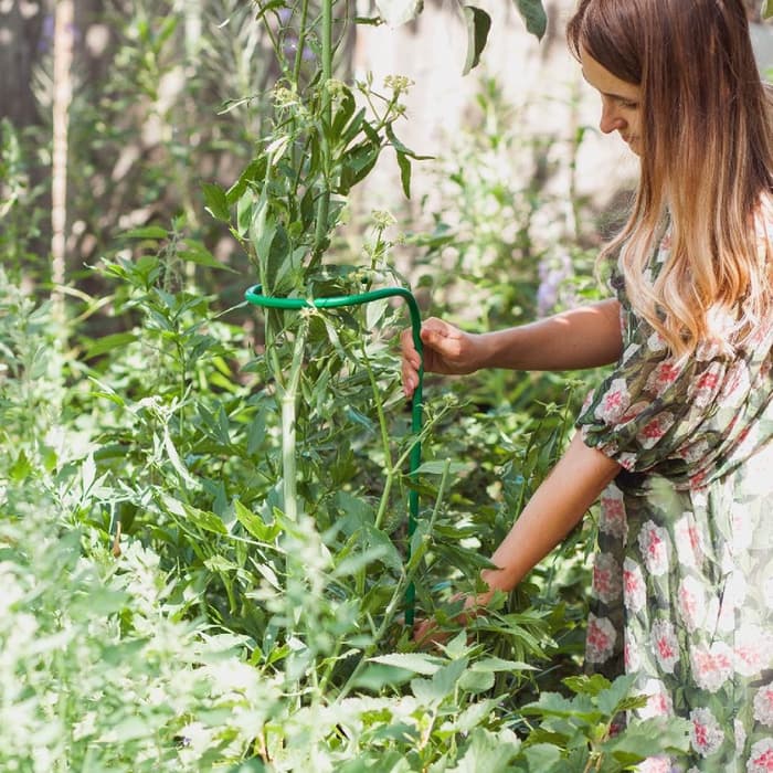 Кустодержатель для цветов, d=20 (±5) см, h=120 см, ножка d=1 см, металл, зелёный