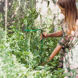 Кустодержатель для цветов, d=20 (±5) см, h=120 см, ножка d=1 см, металл, зелёный