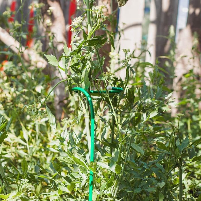 Кустодержатель для цветов, d=20 (±5) см, h=120 см, ножка d=1 см, металл, зелёный