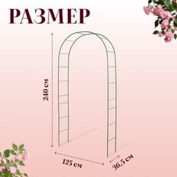Арка садовая, 240×125×36.5 см, для вьющихся растений, металлическая, зелёная, Greengo