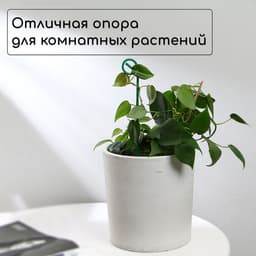 Колышек для подвязки растений, h=30 см, d=3 мм, проволочный, зелёный, Greengo