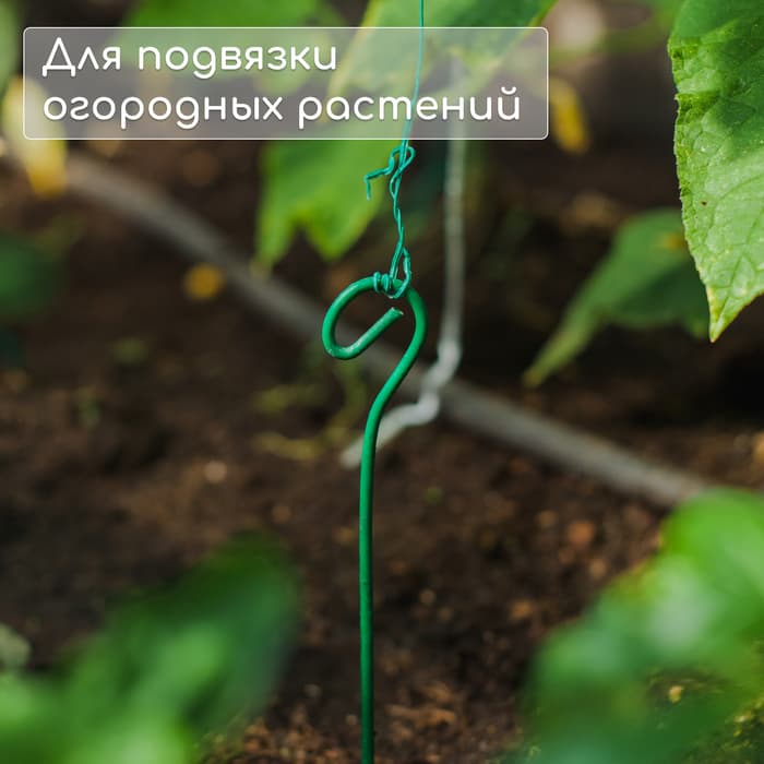 Колышек для подвязки растений, h=30 см, d=3 мм, проволочный, зелёный, Greengo