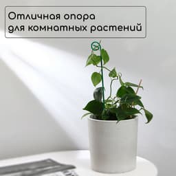 Колышек для подвязки растений, h=40 см, d=3 мм см, проволочный, зелёный, Greengo