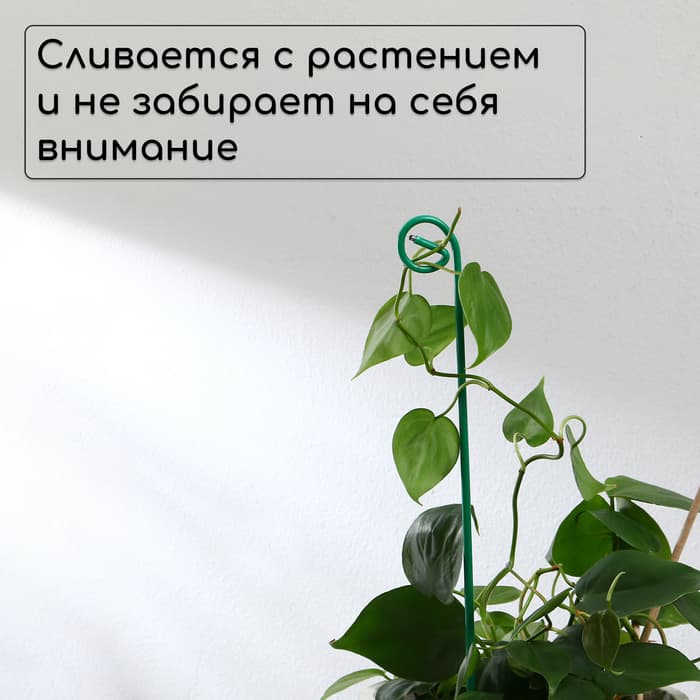 Колышек для подвязки растений, h=40 см, d=3 мм см, проволочный, зелёный, Greengo