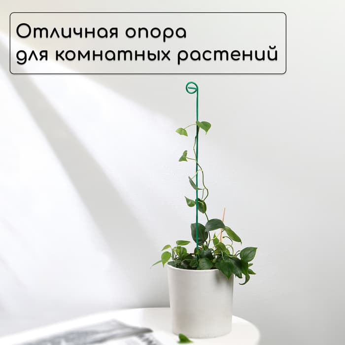 Колышек для подвязки растений, h=60 см, d=3 мм см, проволочный, зелёный, Greengo