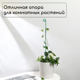 Колышек для подвязки растений, h=60 см, d=3 мм см, проволочный, зелёный, Greengo