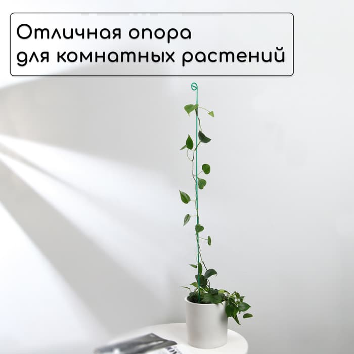 Колышек для подвязки растений, h=100 см, d=3 мм см, проволочный, зелёный, Greengo