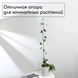 Колышек для подвязки растений, h=100 см, d=3 мм см, проволочный, зелёный, Greengo