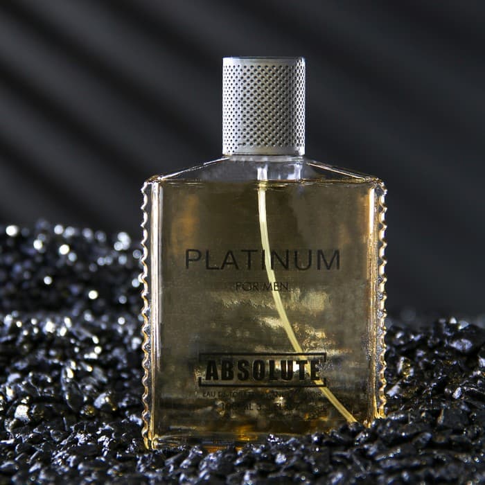 Туалетная вода мужская Absolute Platinum, 100 мл (по мотивам Egoiste Platinum (Chanel)