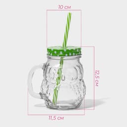 Кружка с крышкой и трубочкой «Сова», 470 мл, 10×11.5×12.5 см, стекло, МИКС
