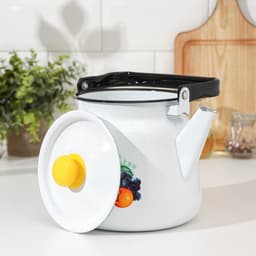 Чайник эмалированный сферический «Эквадор», 3.5 л, белый