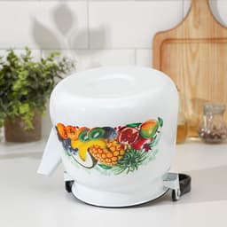 Чайник эмалированный сферический «Эквадор», 3.5 л, белый