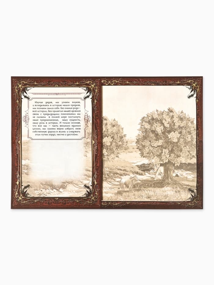 Родословная книга «Древо», 56 листов, 16.5×24 см