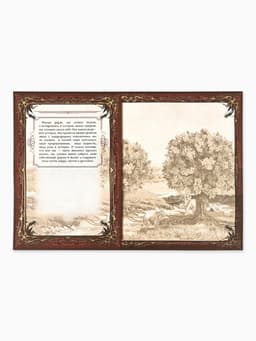 Родословная книга «Древо», 56 листов, 16.5×24 см