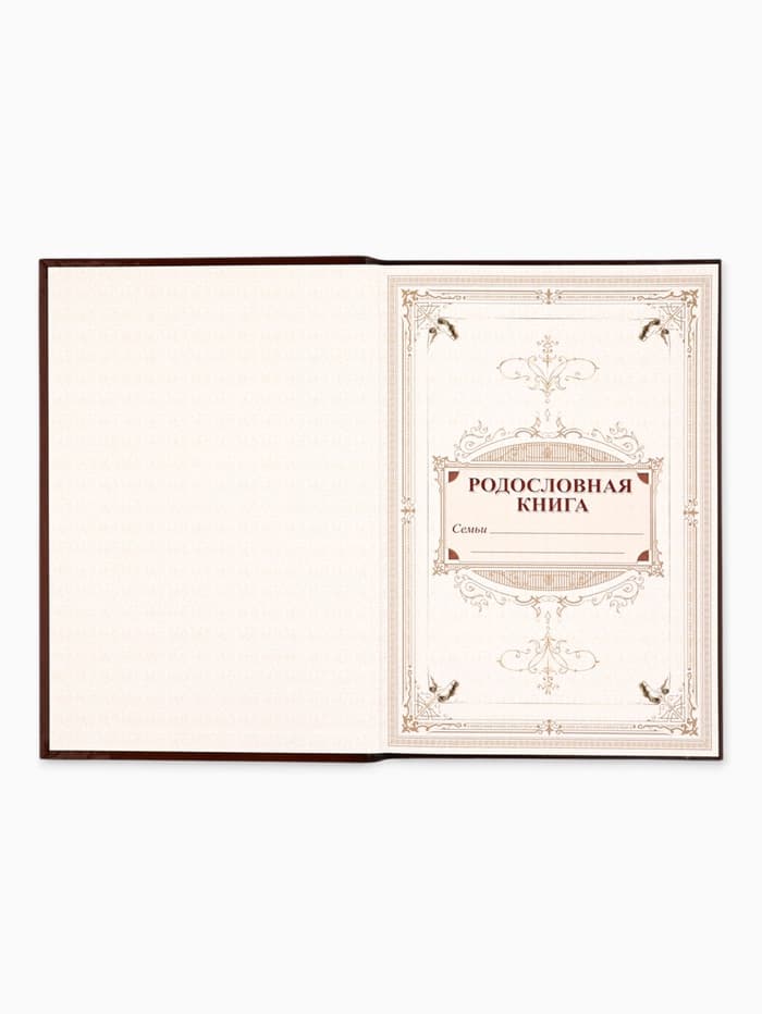 Родословная книга «Древо», 56 листов, 16.5×24 см