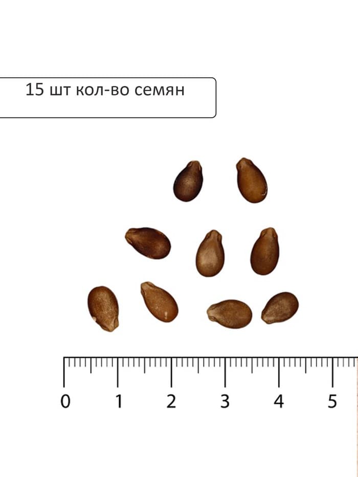 Семена Арбуз «Шуга Бейби», 15 шт., «Аэлита»