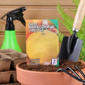 Семена Дыня «Колхозница 749/753», 1 г, «Аэлита»