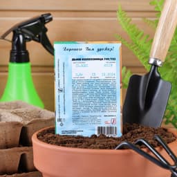 Семена Дыня «Колхозница 749/753», 1 г, «Аэлита»