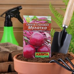 Семена Свекла «Мулатка» столовая «Лидер», 2 г