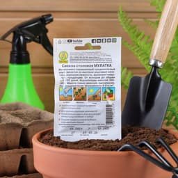 Семена Свекла «Мулатка» столовая «Лидер», 2 г