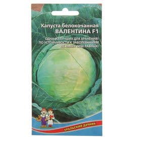 Семена Капуста белокочанная «Валентина», F1, 0.1 г, позднеспелая, «Уральский дачник»