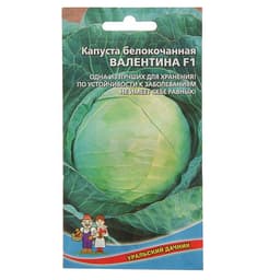 Семена Капуста белокочанная «Валентина», F1, 0.1 г, позднеспелая, «Уральский дачник»