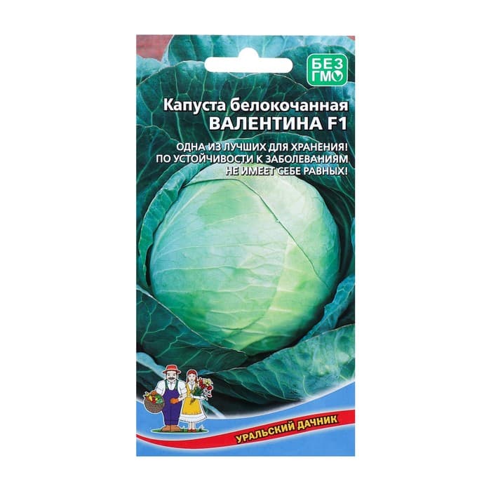 Семена Капуста белокочанная «Валентина», F1, 0.1 г, позднеспелая, «Уральский дачник»