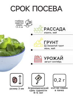 Семена Базилик овощной «Крупнолистный сладкий», 0.2 г, «Аэлита»