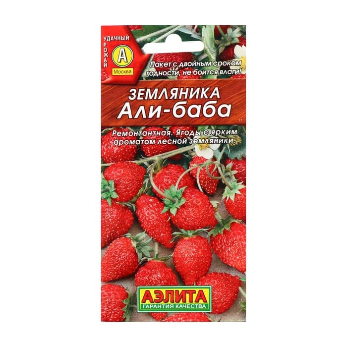 Семена Земляника «Али Баба», ремонтантная, 0.04 г, «Аэлита»