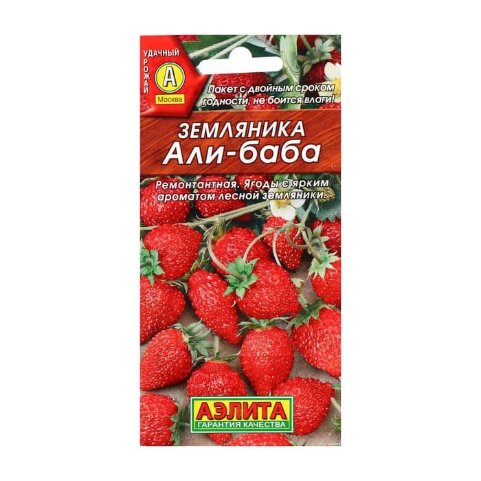 Семена Земляника «Али Баба», ремонтантная, 0.04 г, «Аэлита»