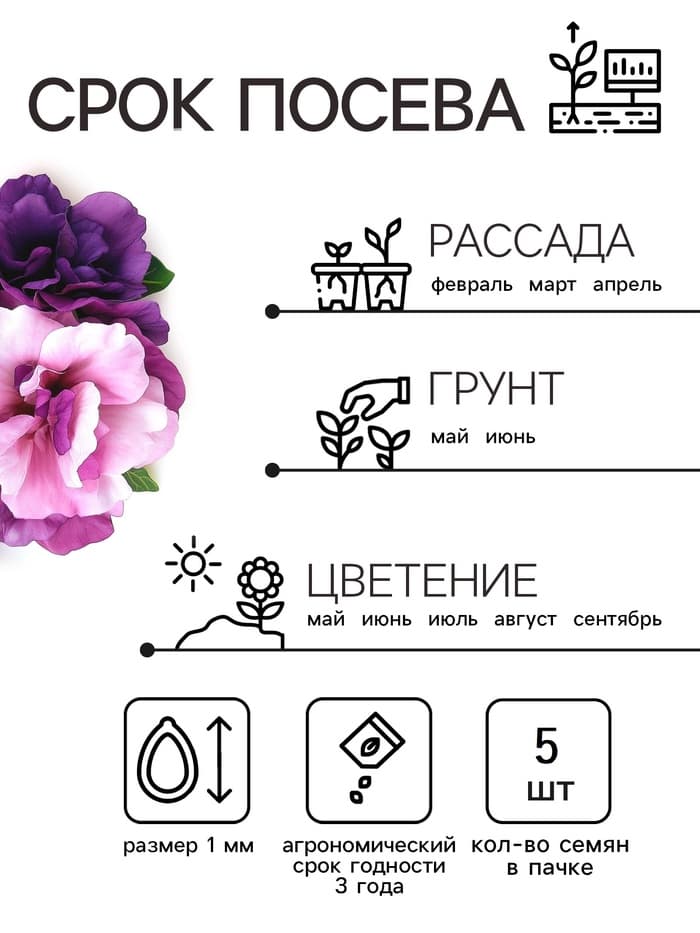Семена цветов Петуния махровая каскадная «Блю & Орхид», F1, смесь, 5 шт., однолетник, Premium seeds