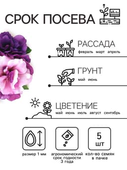 Семена цветов Петуния махровая каскадная «Блю & Орхид», F1, смесь, 5 шт., однолетник, Premium seeds