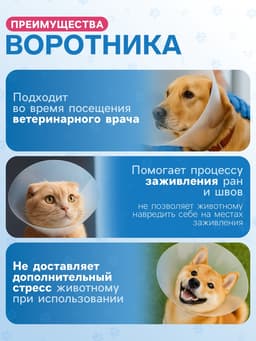 Ветеринарный воротник с креплением на ошейник, ОШ 13-28.5 см, высота 15 см, без ошейника
