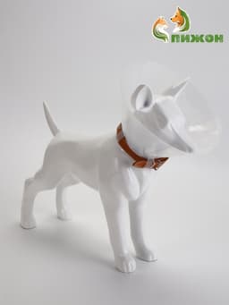 Ветеринарный воротник с креплением на ошейник, ОШ 13-28.5 см, высота 15 см, без ошейника