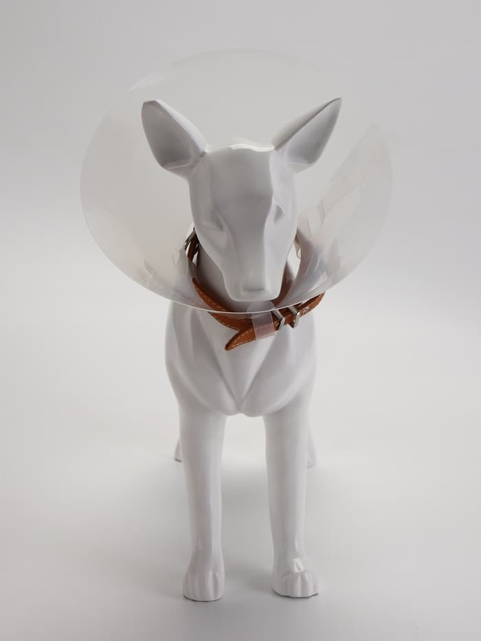 Ветеринарный воротник с креплением на ошейник, ОШ 13-28.5 см, высота 15 см, без ошейника