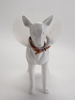 Ветеринарный воротник с креплением на ошейник, ОШ 13-28.5 см, высота 15 см, без ошейника