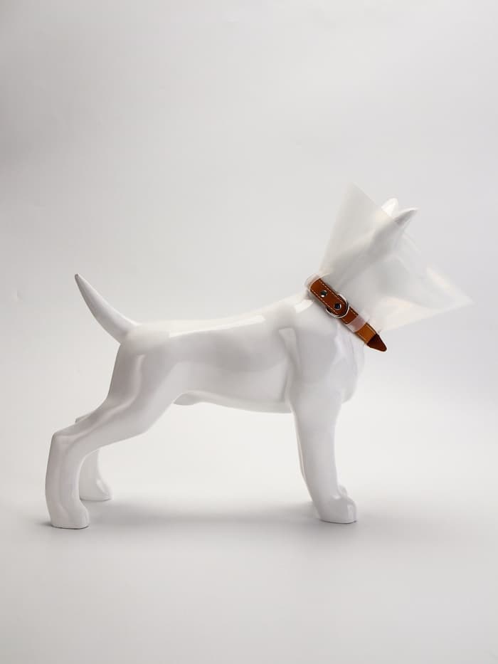 Ветеринарный воротник с креплением на ошейник, ОШ 13-28.5 см, высота 15 см, без ошейника