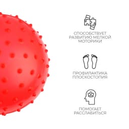 Мяч массажный, d=20 см, 50 г, МИКС