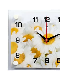 Часы настенные: Цветы, «Ромашки», бесшумные, 20×26 см