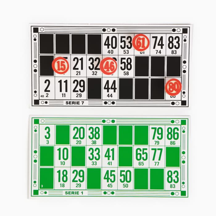 Русское лото, настольная игра «Подарочное», 12.5×20 см