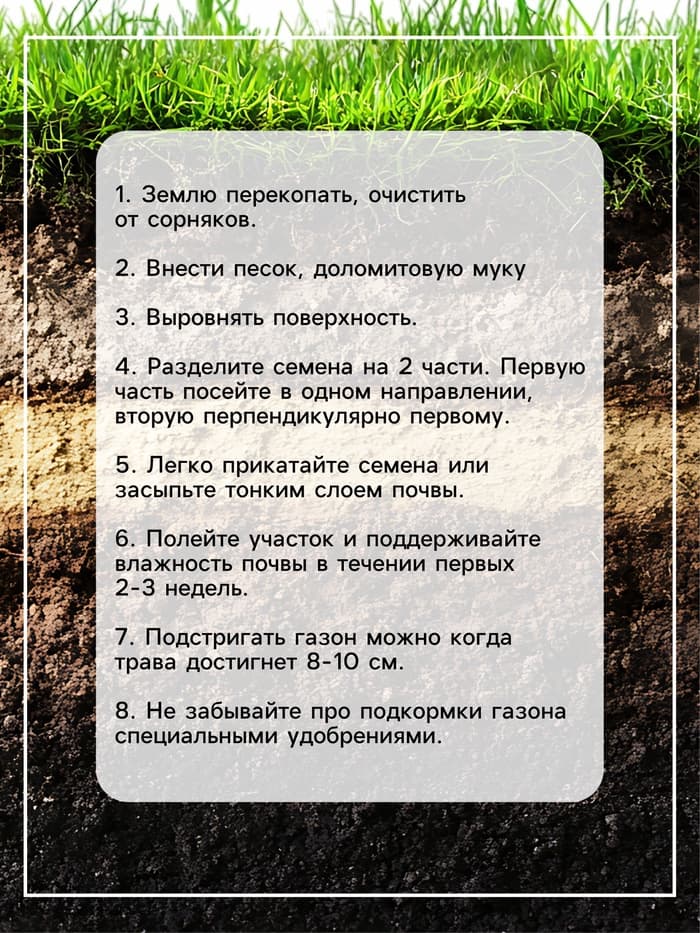 Семена газонной травы Universell Gras, 1  кг