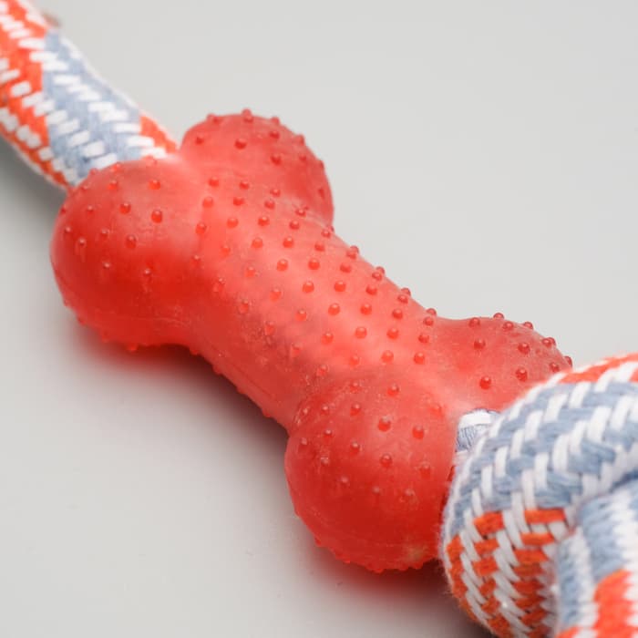 Игрушка тренировочная канатная с косточкой, до 120 г, до 40 см, микс цветов