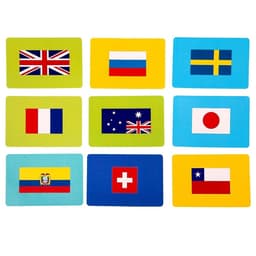 Карточная игра ГЕОДОМ «Флагомания», 54 карточки